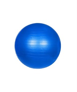 Мяч гимнастический 65 см - фото 28251