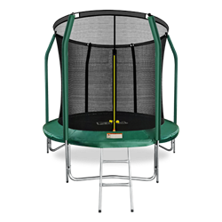 Батут премиум 8FT со ст. сеткой и лестницей (Dark green) - фото 38579