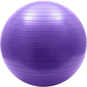 FBA-75-4 Мяч гимнастический Anti-Burst 75 см (фиолетовый)