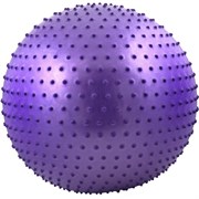 FBM-55-4 Мяч гимнастический Anti-Burst массажный 55 см (фиолетовый)