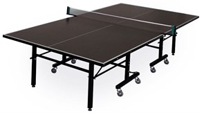 Теннисный стол всепогодный Master Pro Outdoor (274 х 153 х 76 см, коричневый)