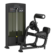 Разгибание спины профессиональный BRONZE GYM BLANC 31