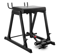 Гиперэкстензия обратная Protrain 678 RH