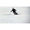 Лыжи и приспособление Easy SKI - фото 18905