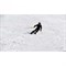 Лыжи и приспособление Easy SKI - фото 18906