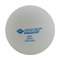Мячи для настольного тенниса DONIC JADE, 6 шт, белый - фото 22884