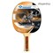 Ракетка для настольного тенниса DONIC Champs 300 - фото 22922