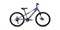 Велосипед AL 24 D (2020) - фото 29230