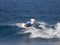 Жесткая доска для серфинга JP-Australia Surf Wide AST 8'8 - фото 31220
