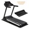 Беговая дорожка EVO FITNESS Prime plus - фото 37764