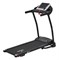 Беговая дорожка электрическая ROYAL Fitness RF-7 - фото 46386