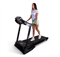 Электрическая беговая дорожка Everyfit FFT025 - фото 70288
