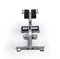 Гиперэкстензия Protrain HCLT-5002 - фото 72984
