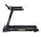 Беговая дорожка EVO FITNESS Jet Black - фото 82184