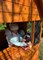 Детский домик Markvel Happy house - фото 94595