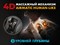 Массажное кресло FUJIMO FLEXOR 4D Grey - фото 99958